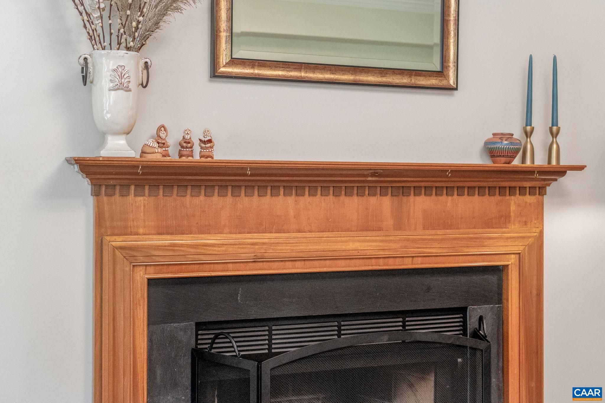 1113 Raintree Drive Charlottesville, VA 22901 - Photo 21 of 53 Gallery Image 21