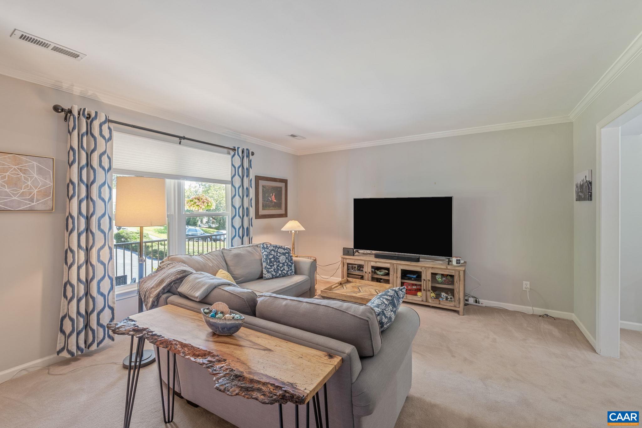 1113 Raintree Drive Charlottesville, VA 22901 - Photo 6 of 53 Gallery Image 6