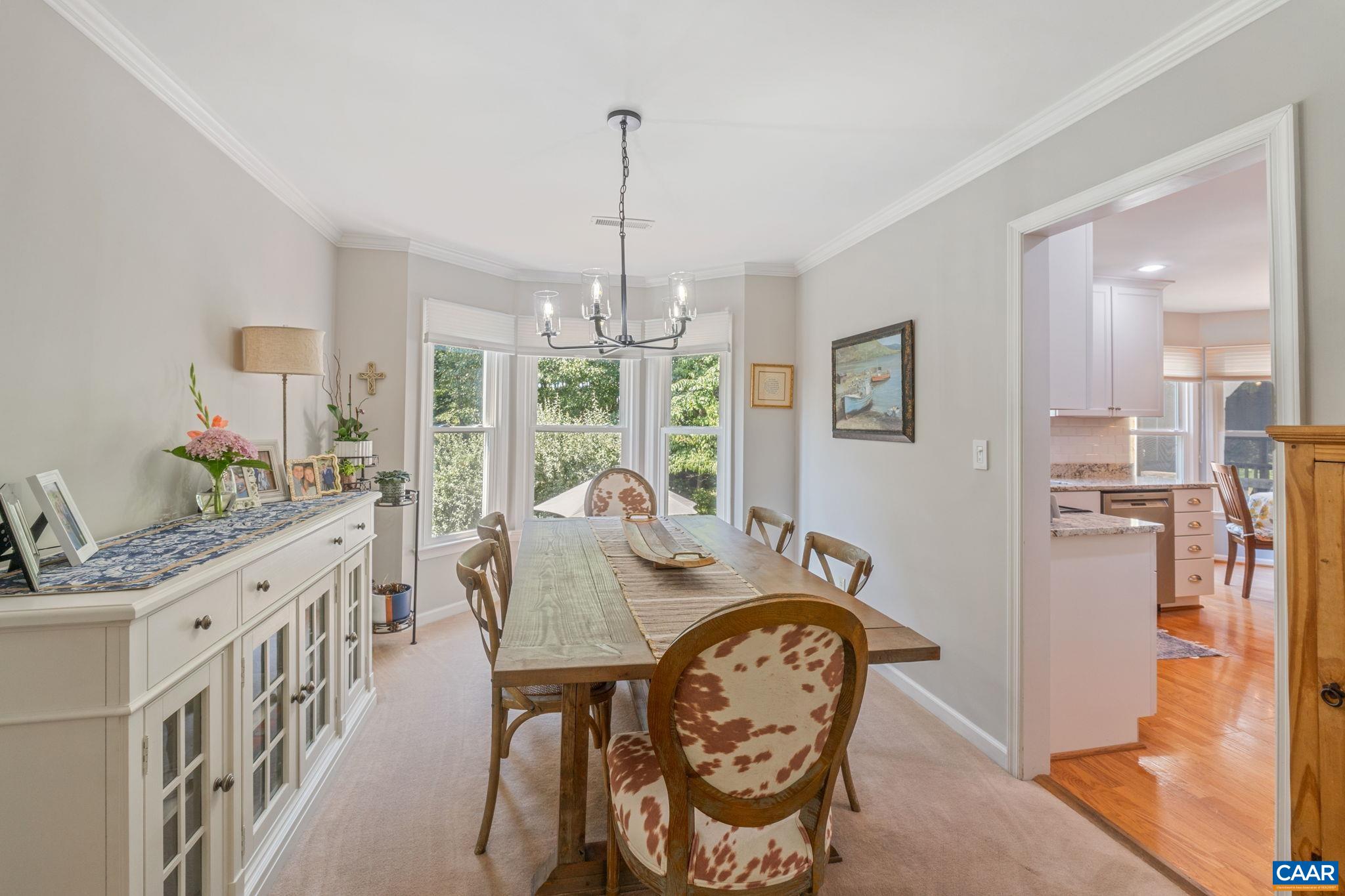1113 Raintree Drive Charlottesville, VA 22901 - Photo 9 of 53 Gallery Image 9