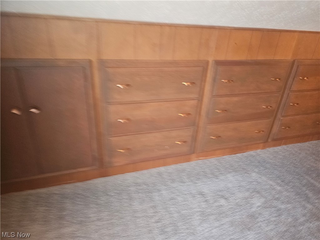3700 Jaeger Road Lorain, OH 44053 - Photo 36 of 50 Interior details featuring wooden walls and carpet floors
