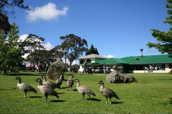 19-3887 Olomea Road Volcano, HI 96785 - Photo 15 of 22 Gallery Image 15