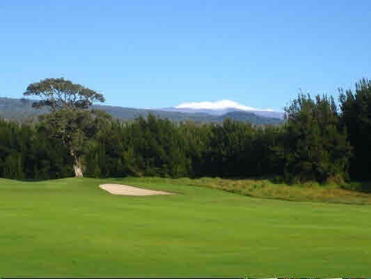 19-3887 Olomea Road Volcano, HI 96785 - Photo 18 of 22 Gallery Image 18