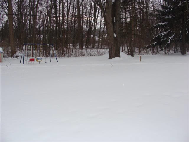 217 Ford Road Carleton, MI 48117 - Photo 10 of 10 Fenced in yard