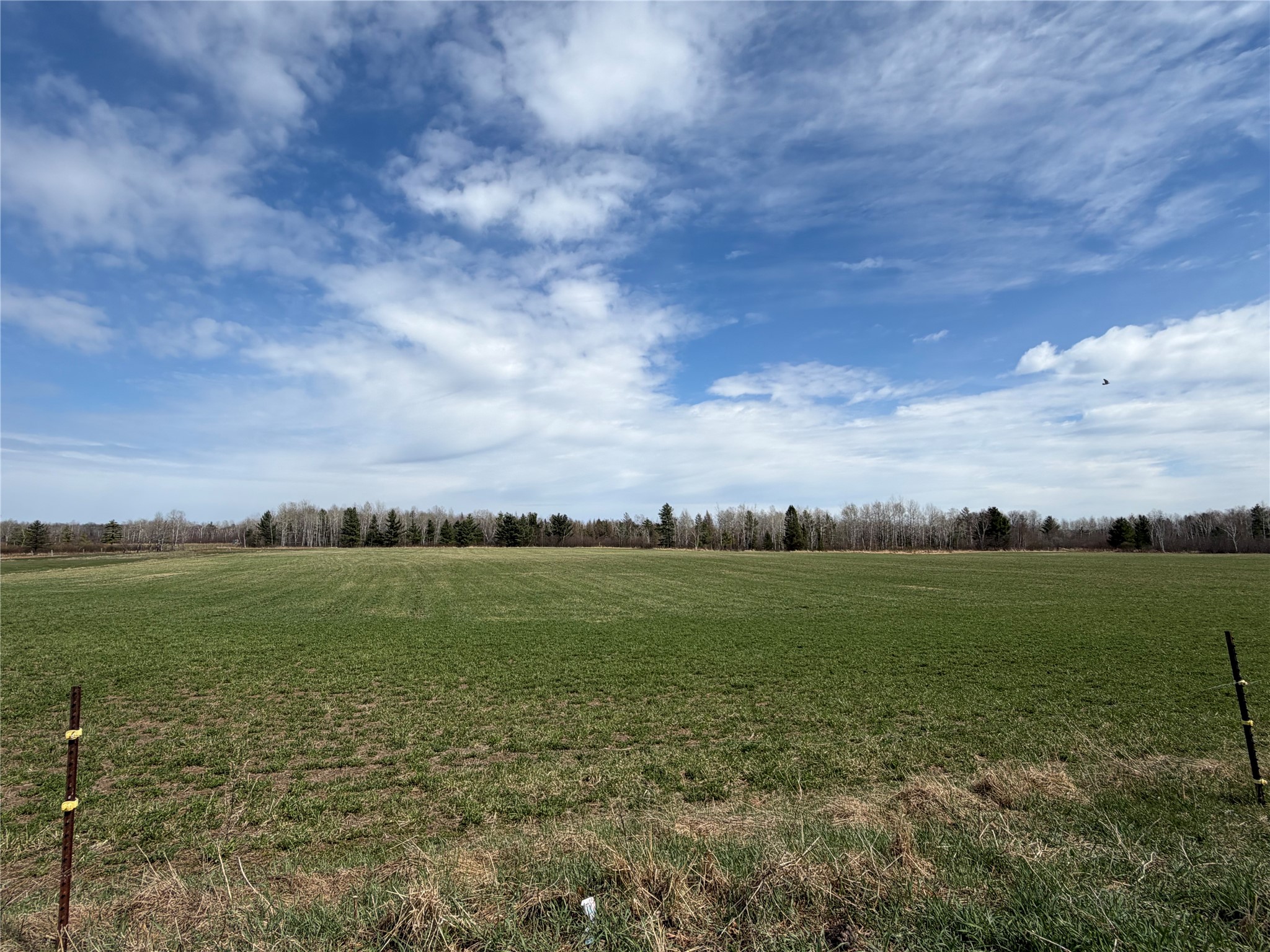 N4280 County Road East Bruce, WI 54819 - Photo 24 of 49