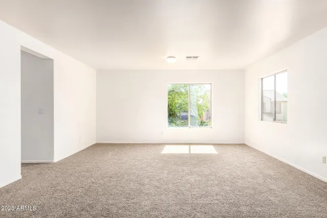 a tree in the middle of a yard