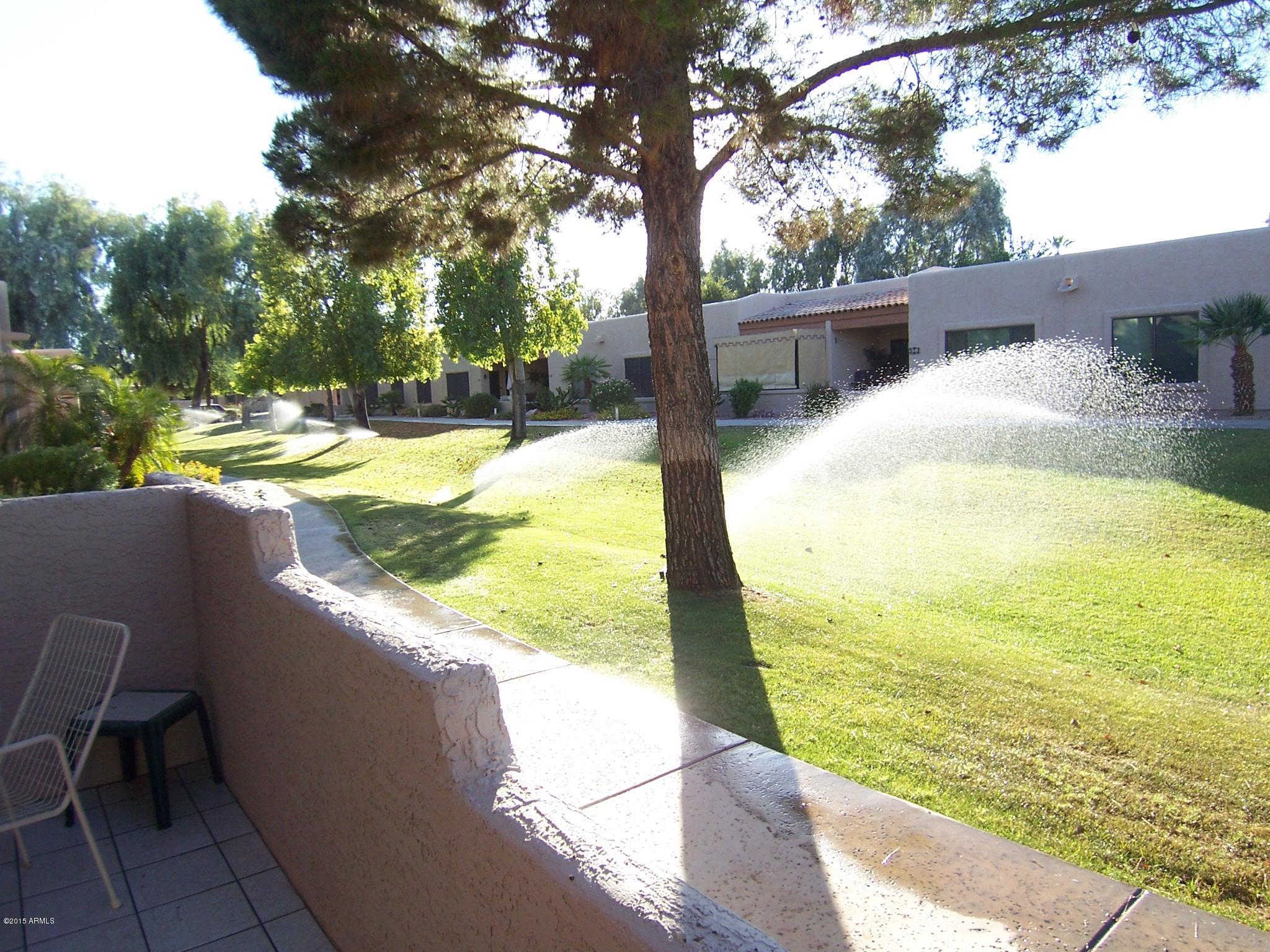 14300 West Bell Road, Unit 439 Surprise, AZ 85374 - Photo 4 of 20 green belt sun village condo (3).JPG