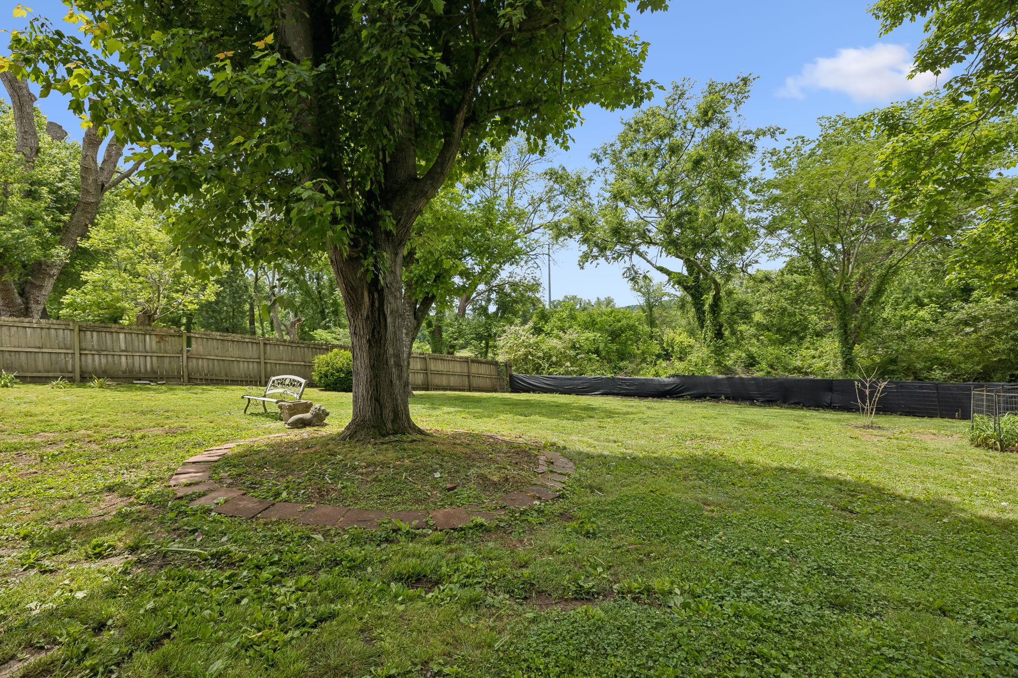 205 Riverside Drive North Carthage, TN 37030 - Photo 49 of 54