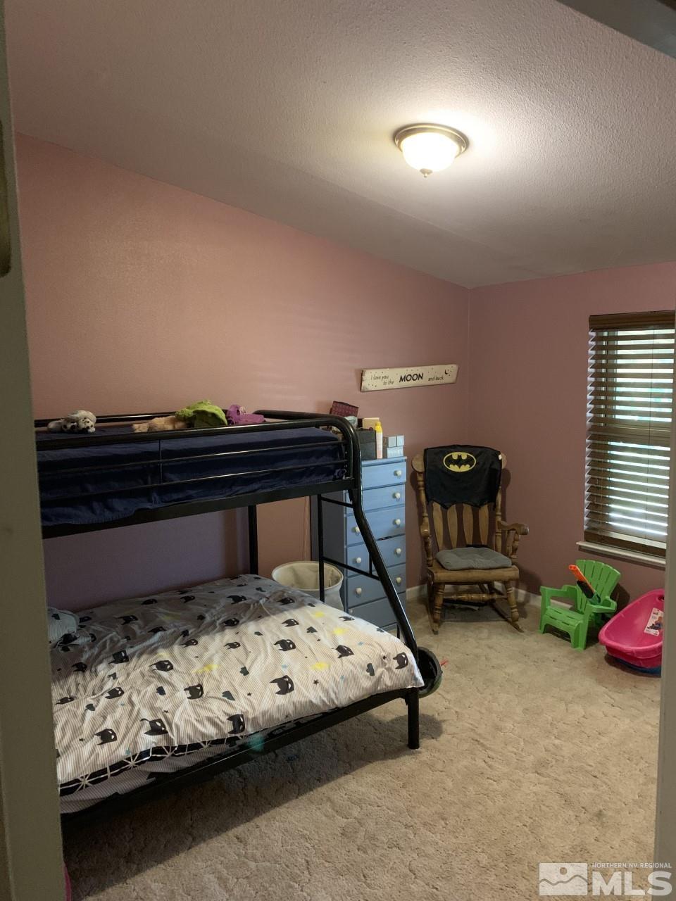450 Reservoir Road Lovelock, NV 89419 - Photo 27 of 37