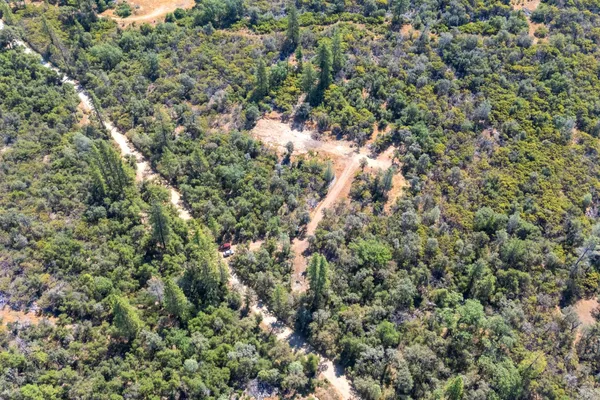 view of a tree with a tree