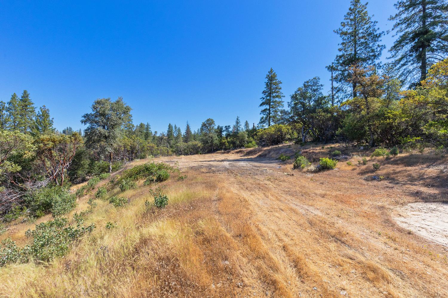 12996 Deadmans Flat Road Grass Valley, CA 95945 - Photo 2 of 12