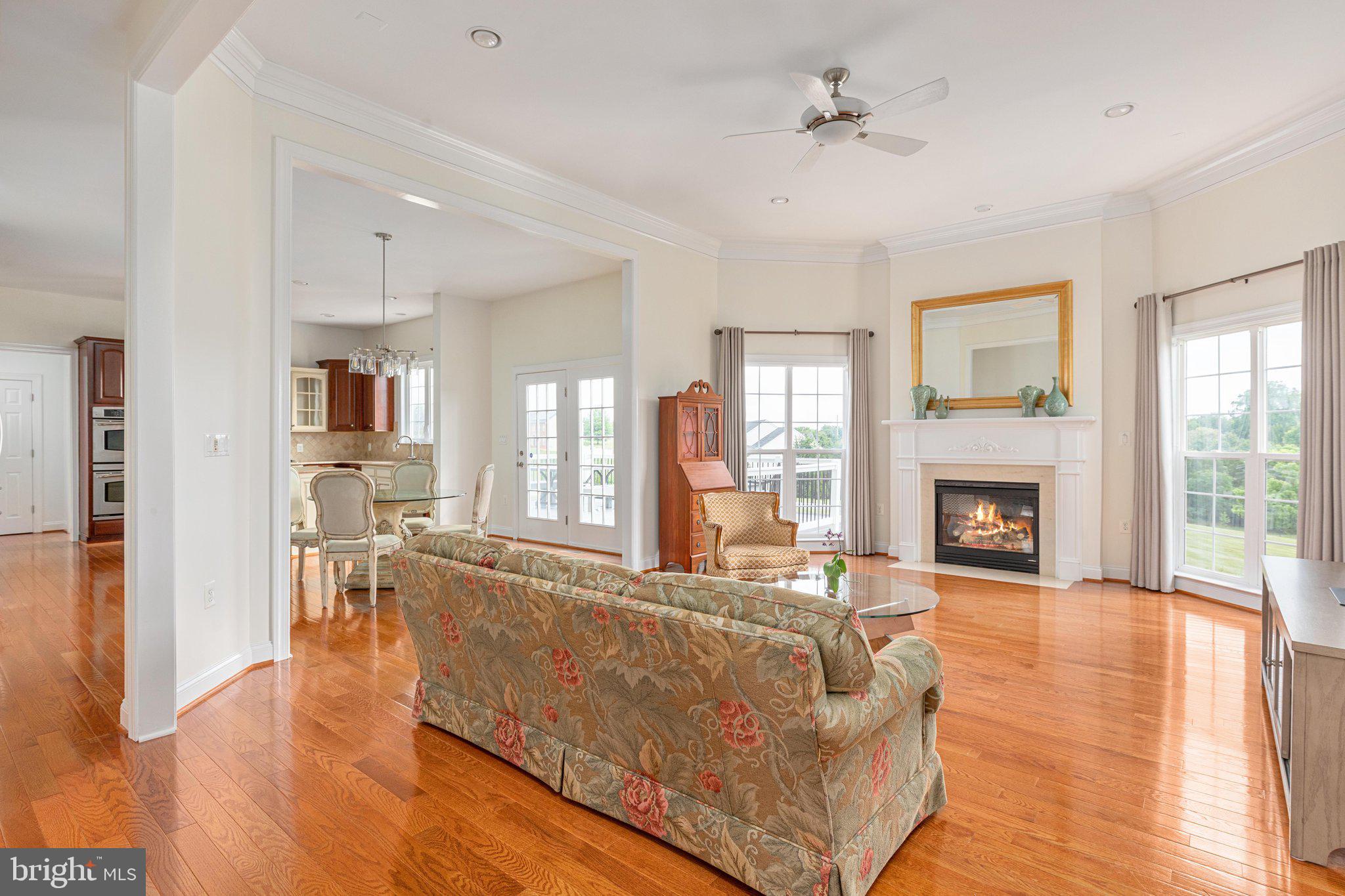 38786 Rambling Farm Drive Hamilton, VA 20158 - Photo 14 of 97 Family room with gas fireplace