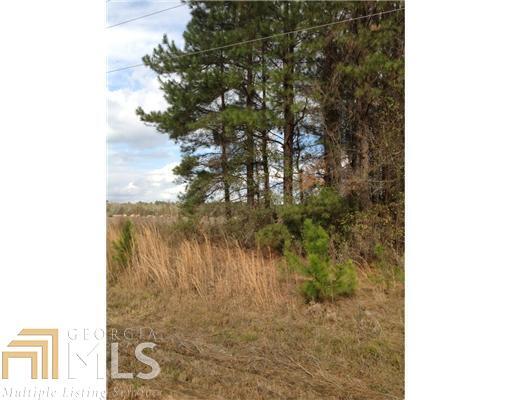 0 Highway 21 Springfield, GA 31329 - Photo 1 of 1
