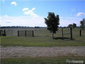 2124 pasture area for animals.jpg
