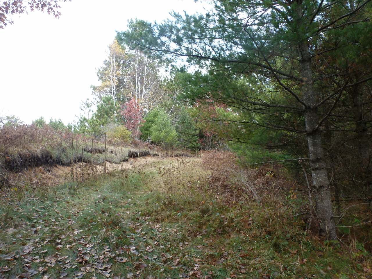 End Of Cholewinski Road Rhinelander, WI 54501 - Photo 21 of 21 Gallery Image 21