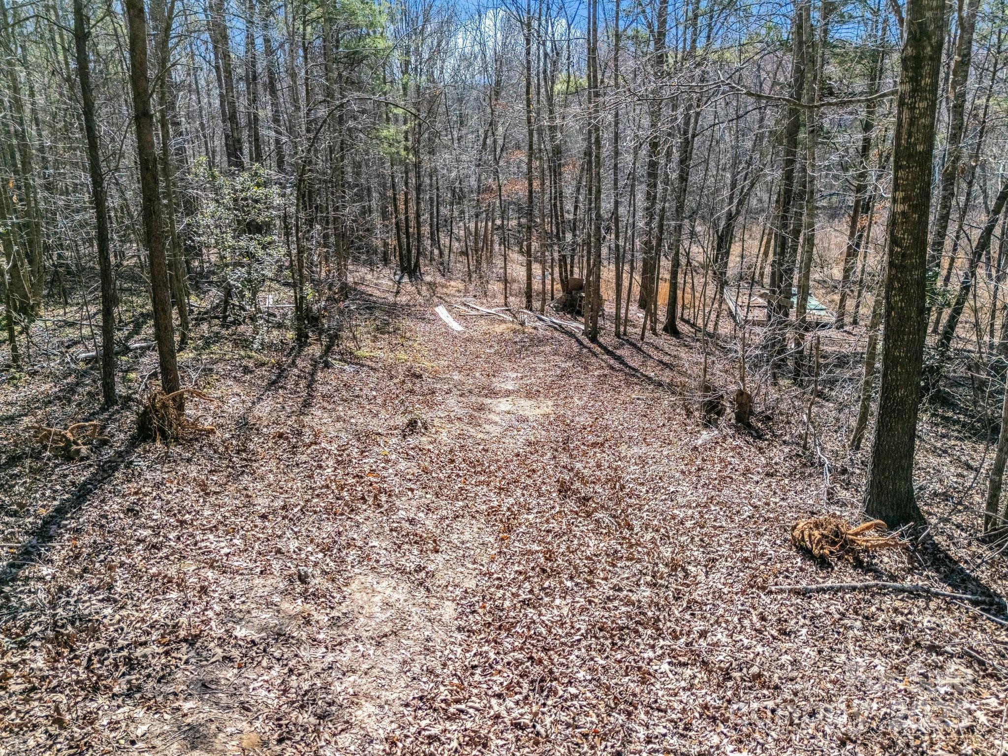 0 Petite Court Rutherfordton, NC 28139 - Photo 11 of 34 a view of a yard with trees