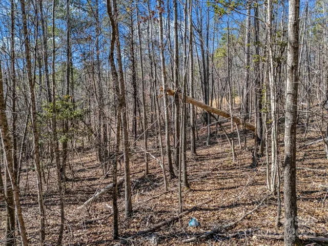 a view of backyard with green space