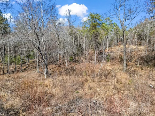 a view of a yard with trees