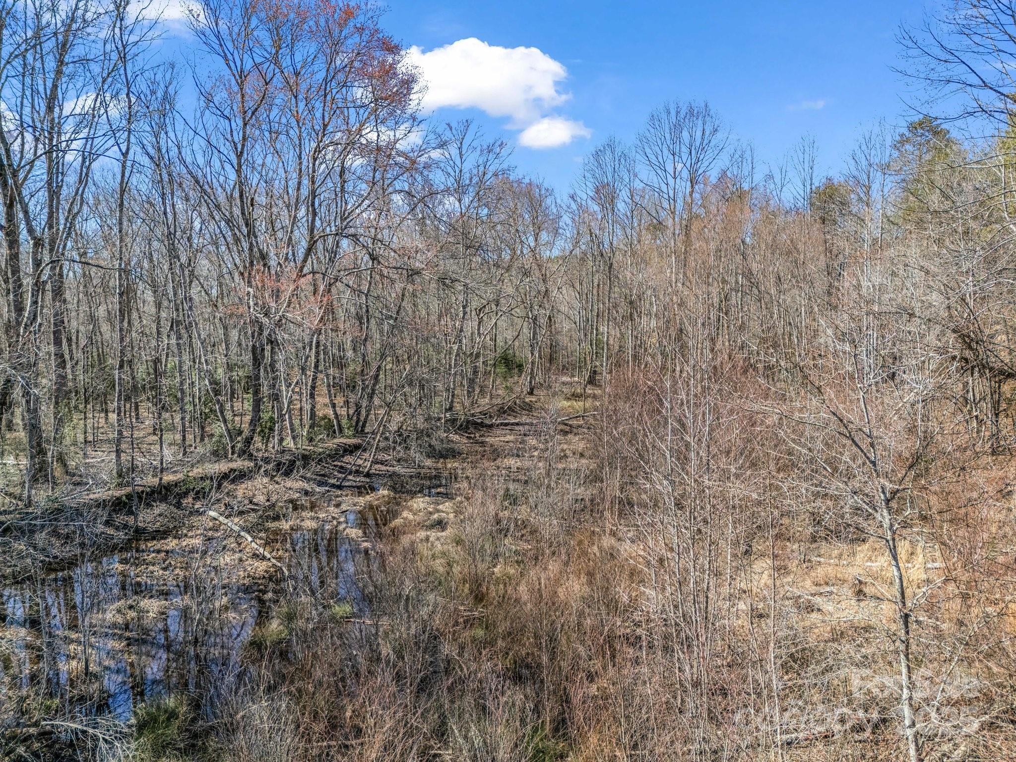 0 Petite Court Rutherfordton, NC 28139 - Photo 14 of 34 a view of backyard with green space