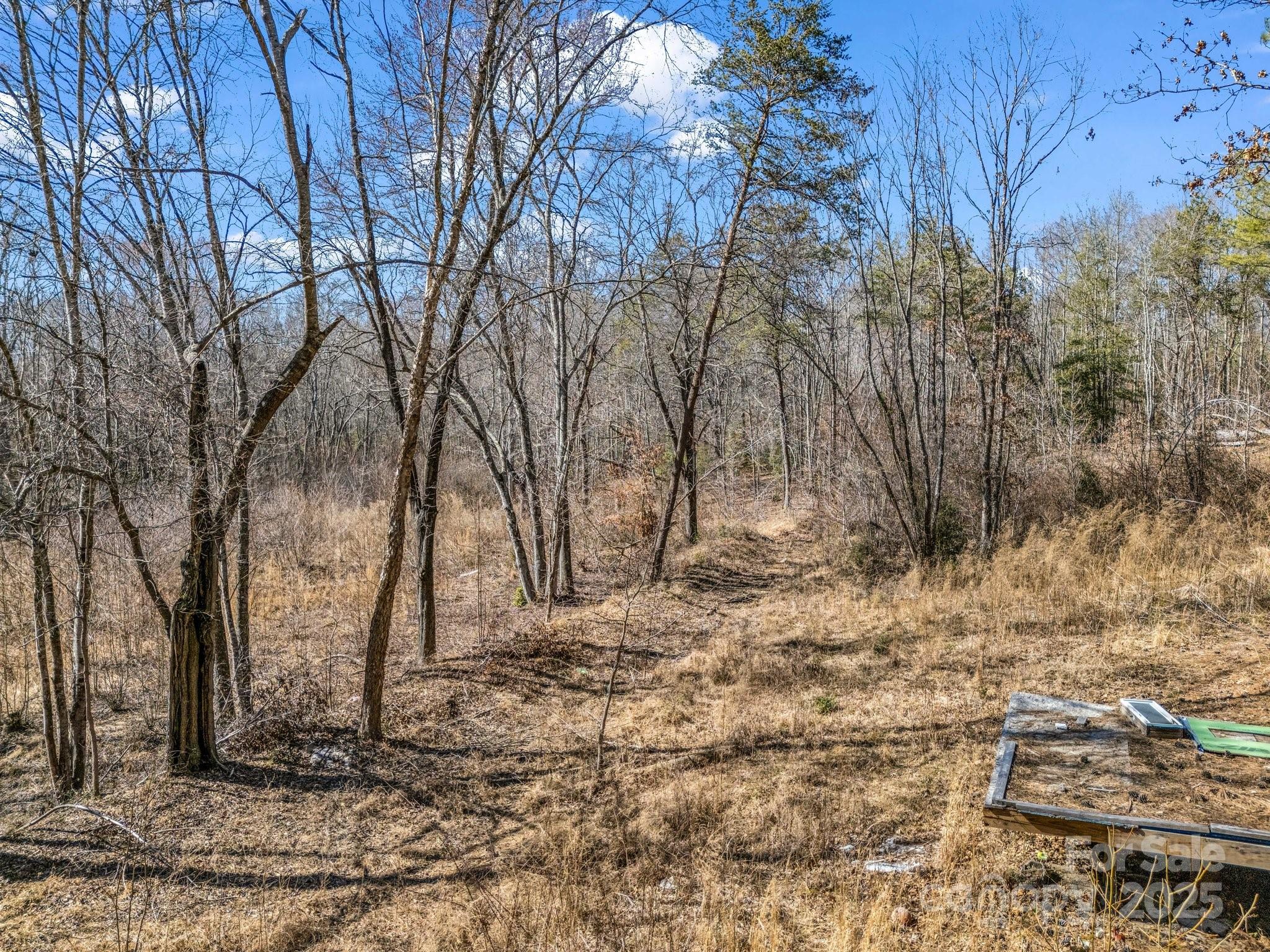 0 Petite Court Rutherfordton, NC 28139 - Photo 15 of 34 a view of a yard with trees