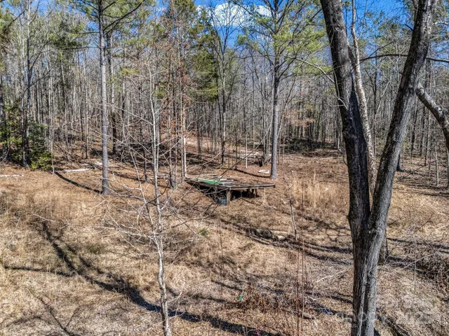 a view of backyard with green space