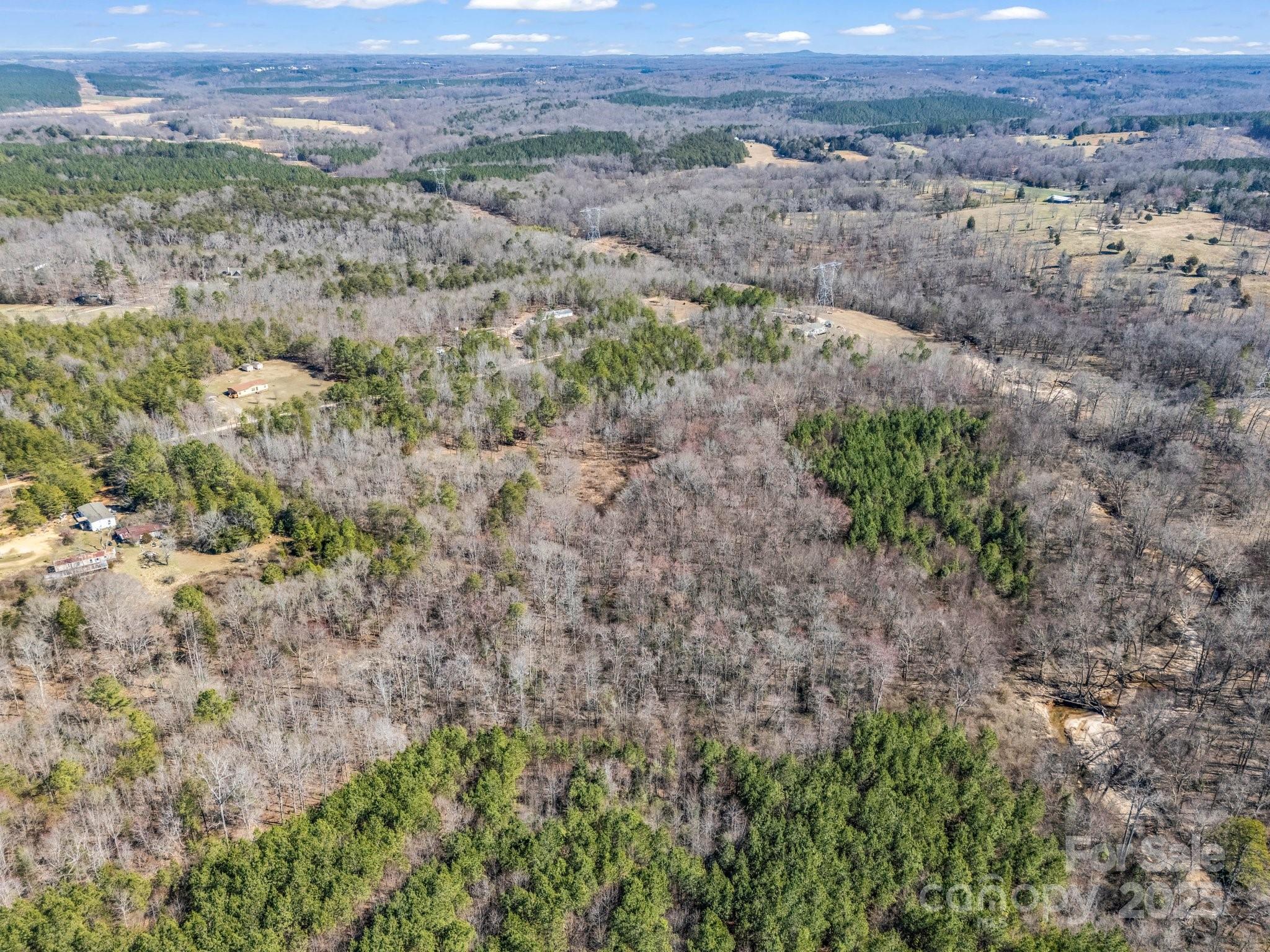 0 Petite Court Rutherfordton, NC 28139 - Photo 24 of 34 an aerial view of forest