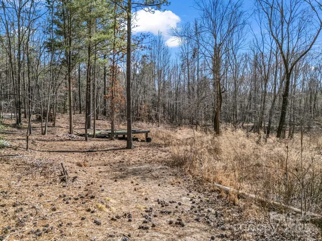a view of outdoor space with lots of trees