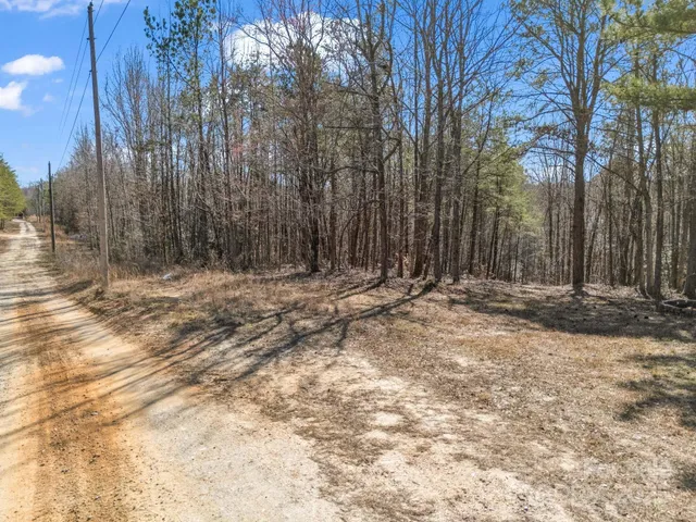 $115,000 | 0 Petite Court, Rutherfordton, NC 28139