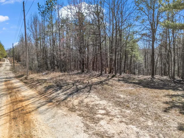 $115,000 | 0 Petite Court, Rutherfordton, NC 28139