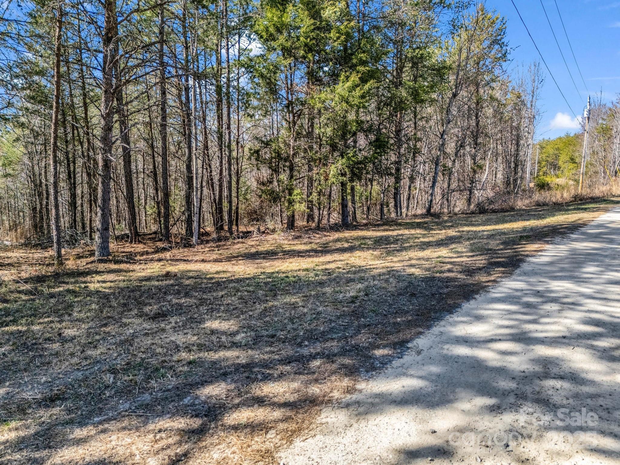 0 Petite Court Rutherfordton, NC 28139 - Photo 5 of 34 a view of outdoor space with trees