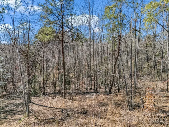 a view of a yard with trees