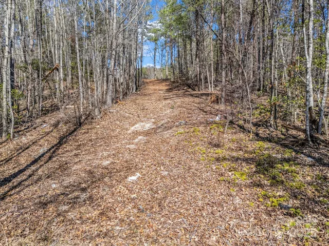 a view of a barn with large trees and wooden fence