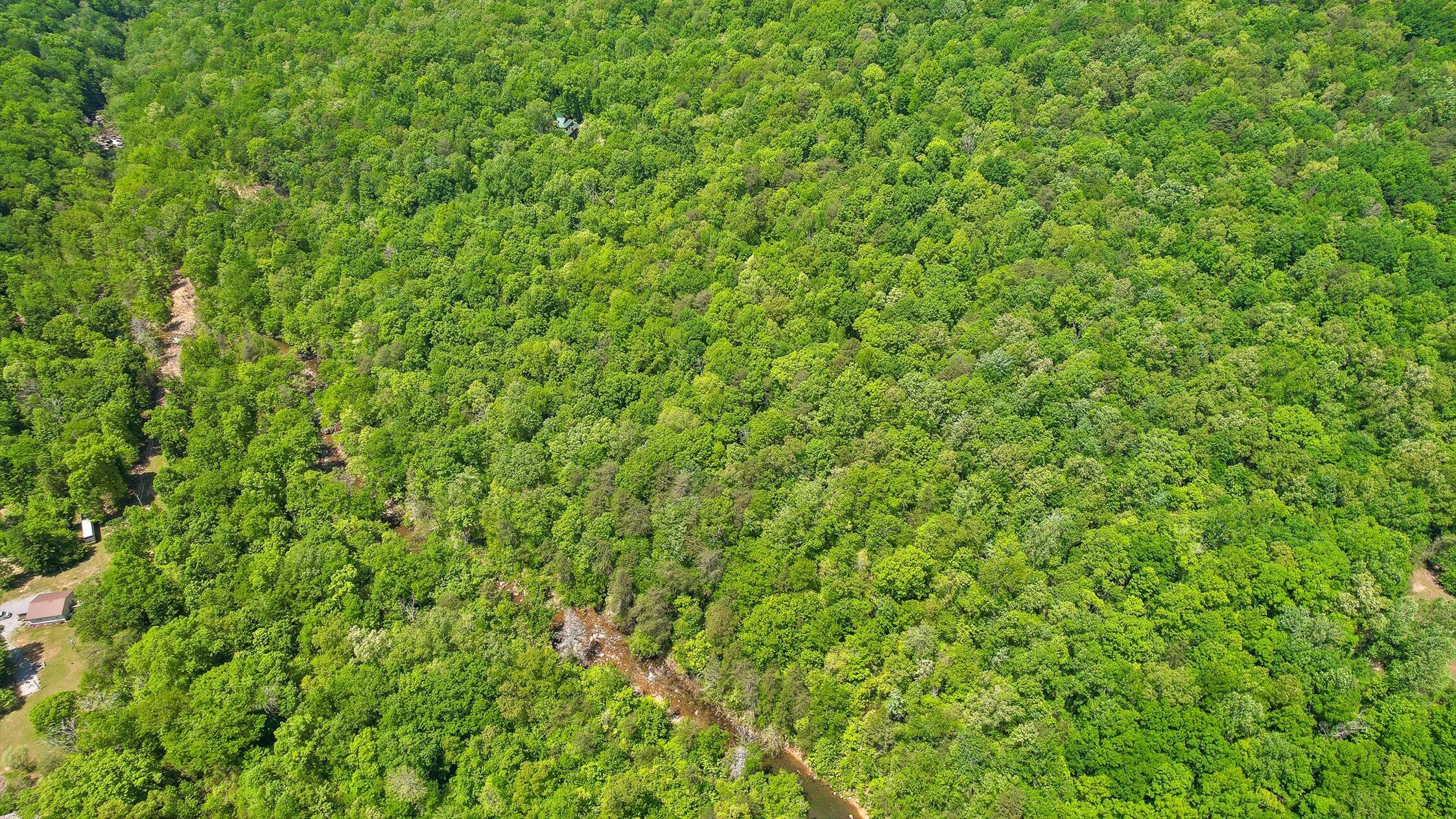 496 Boyd Road Dunlap, TN 37327 - Photo 31 of 39 65-Boyd-65