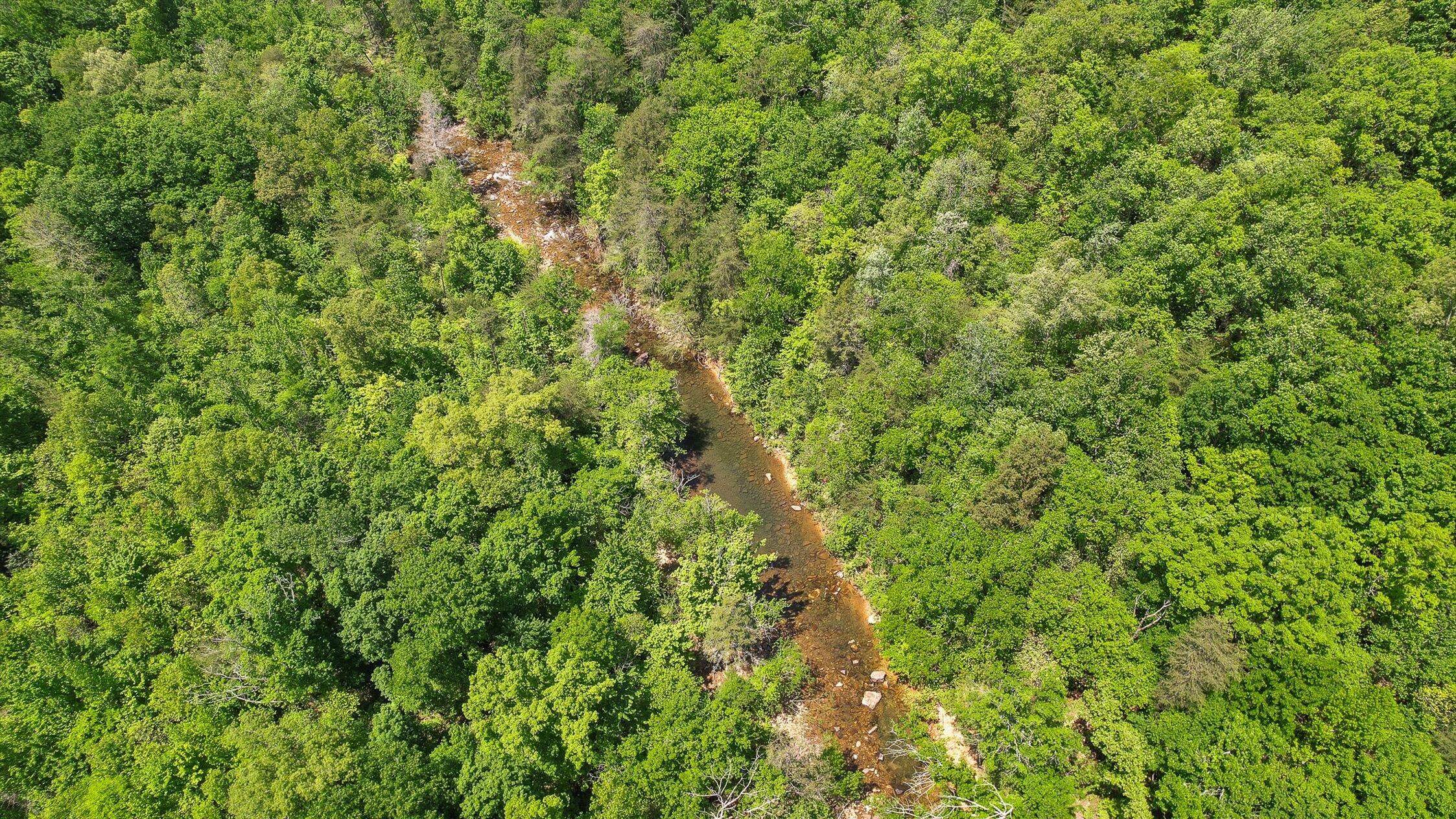 496 Boyd Road Dunlap, TN 37327 - Photo 32 of 39 66-Boyd-66
