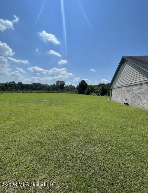 95 Squirrel Hollow Road Holly Springs, MS 38635 - Photo 21 of 31 IMG_5684