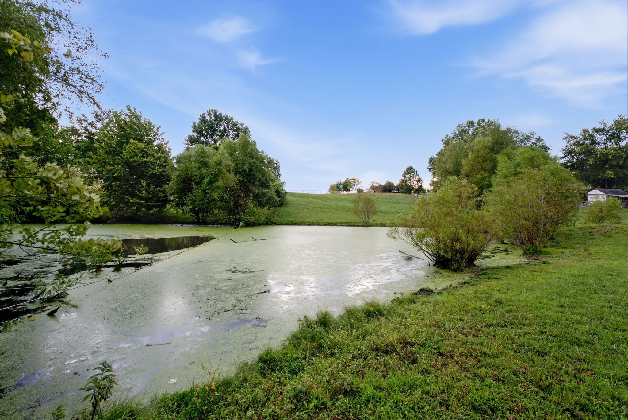 175 Bettis Road Lebanon, TN 37090 - Photo 13 of 39 Gallery Image 13