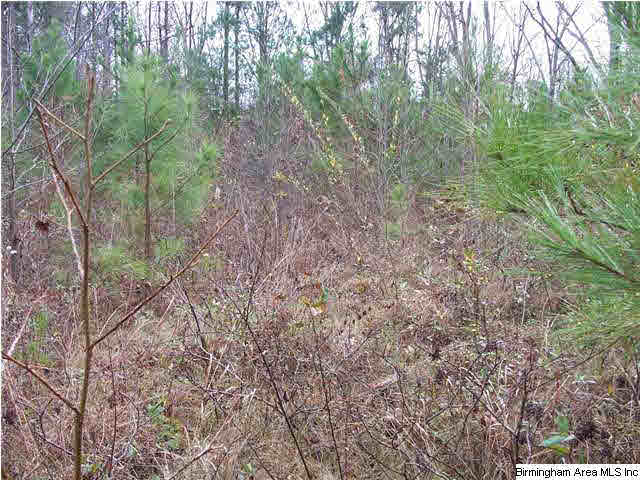 Providence Road, Unit 1 5 Tallapoosa, GA 30176 - Photo 4 of 5