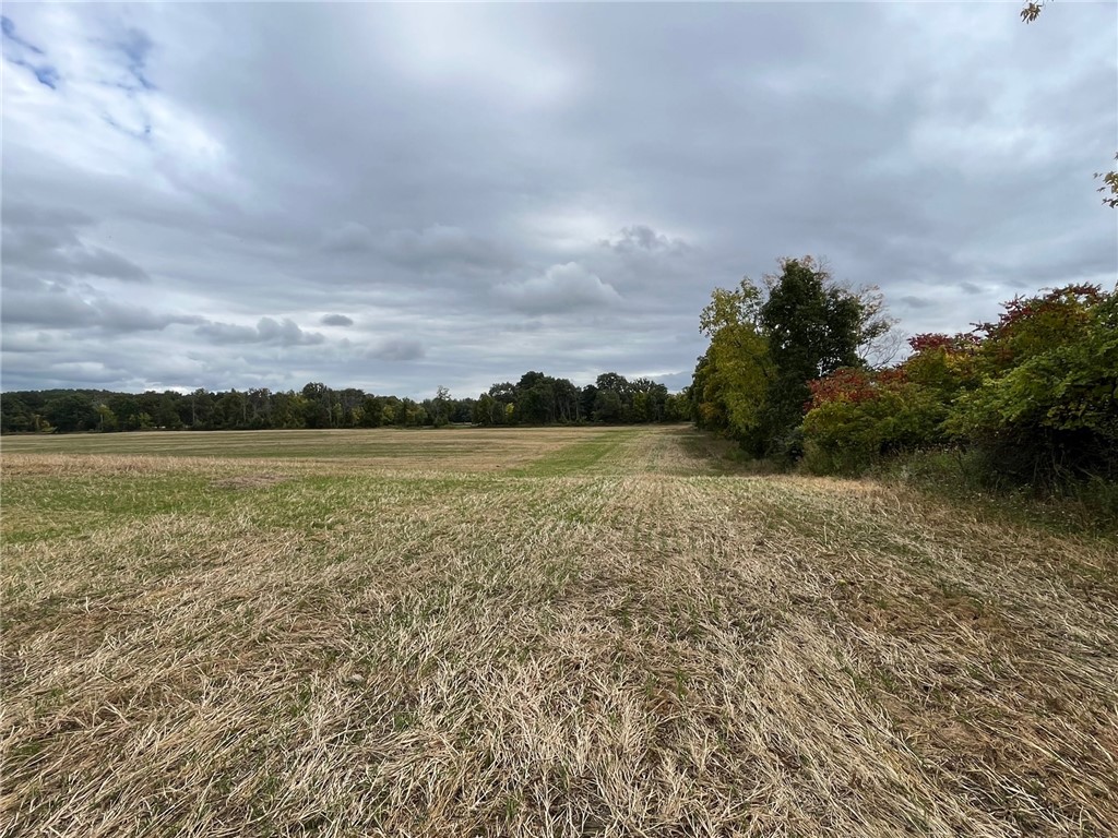 Lot 3 Woodruff Road Rush, NY 14543 - Photo 1 of 1 Gallery Image 1