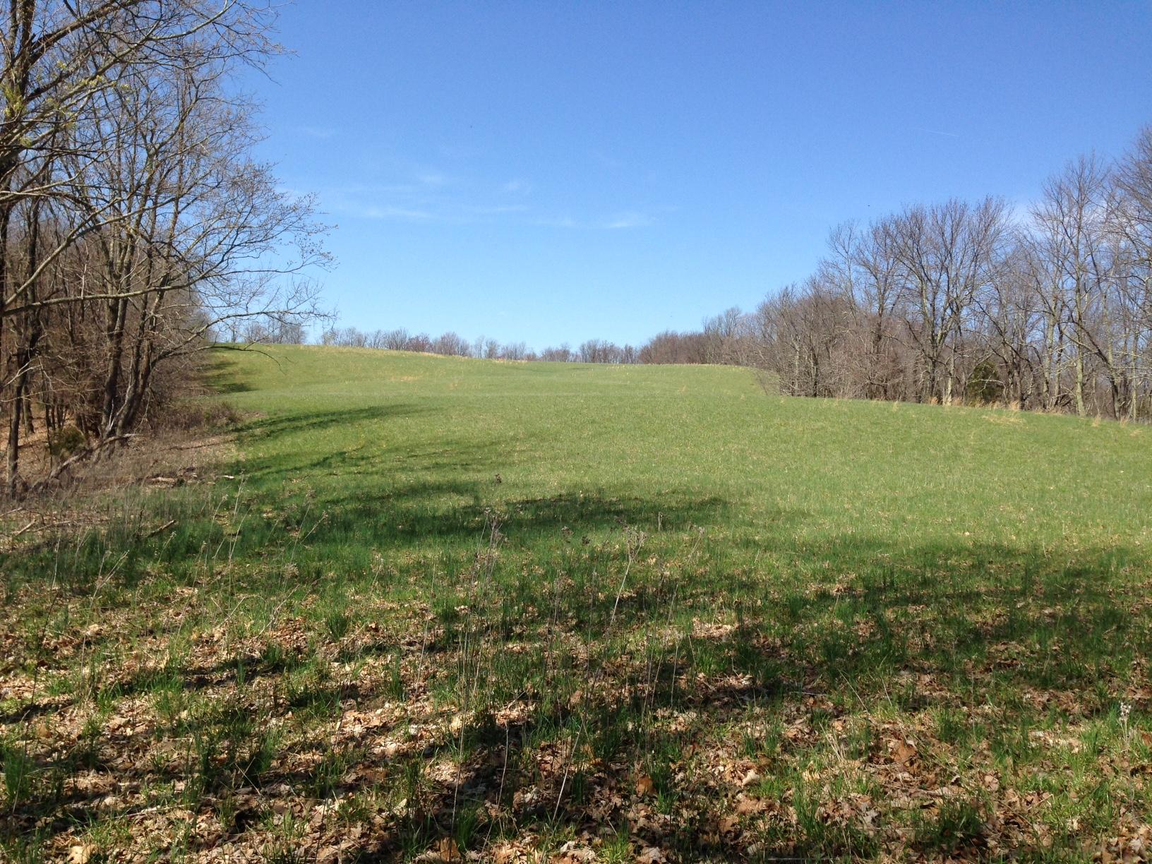 Dillon Road Forest Hill, WV 24935 - Photo 4 of 93 Gallery Image 4