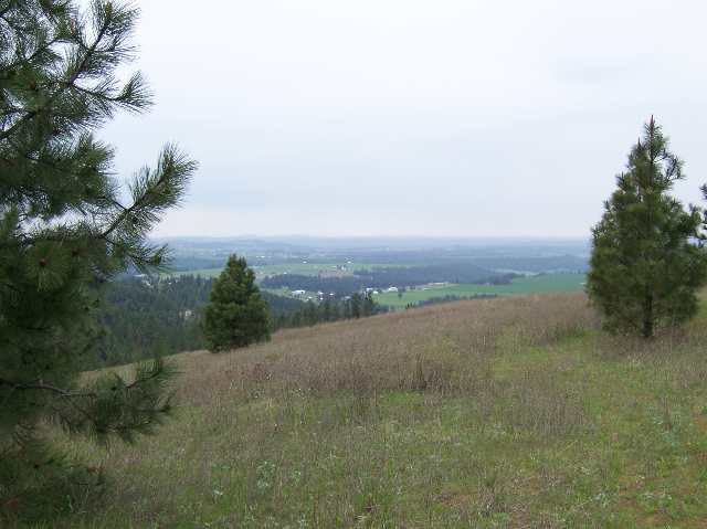 0 East Temple Road Spokane, WA 99217 - Photo 1 of 9
