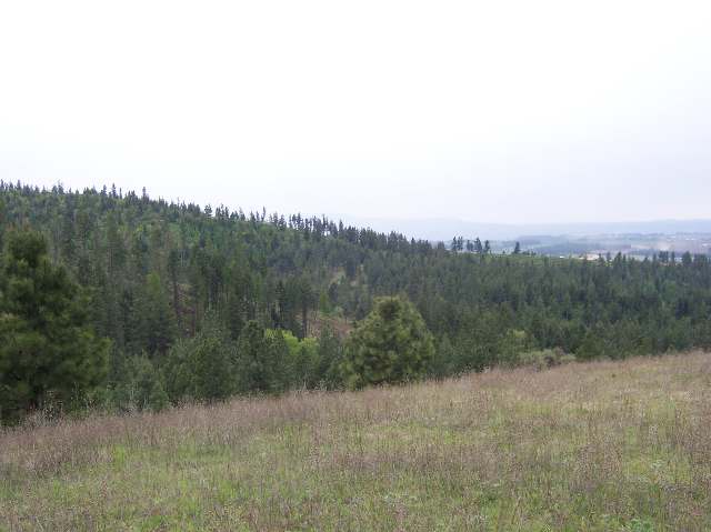0 East Temple Road Spokane, WA 99217 - Photo 3 of 9