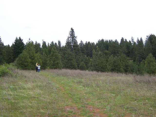 0 East Temple Road Spokane, WA 99217 - Photo 4 of 9