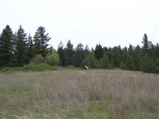 0 East Temple Road Spokane, WA 99217 - Photo 5 of 9