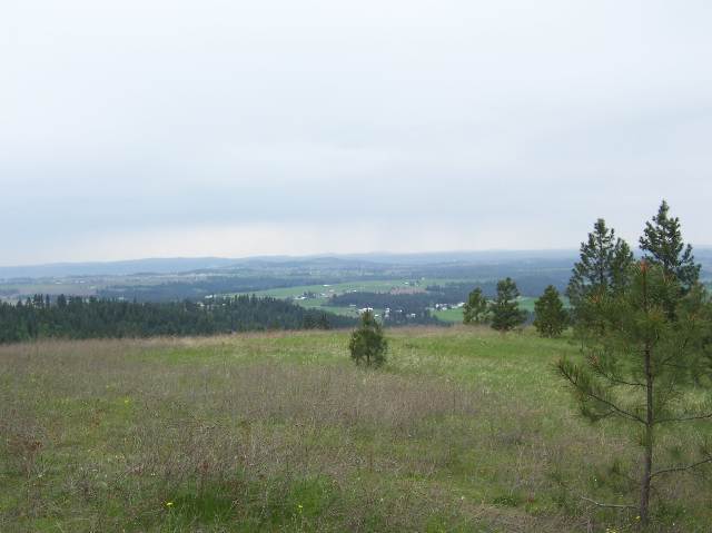 0 East Temple Road Spokane, WA 99217 - Photo 6 of 9