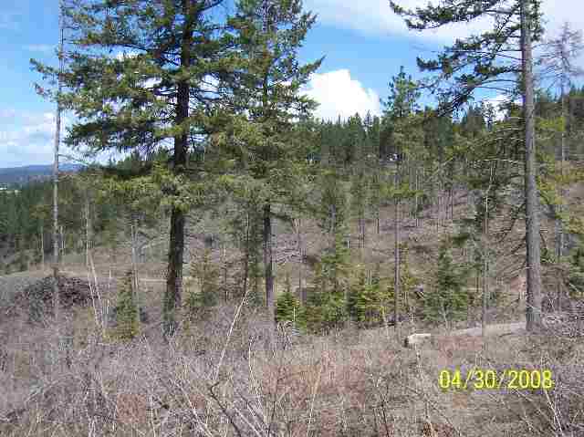 0 East Temple Road Spokane, WA 99217 - Photo 7 of 9