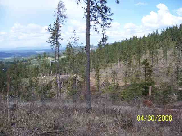 0 East Temple Road Spokane, WA 99217 - Photo 8 of 9
