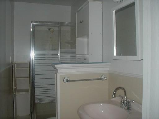 427 East Cleveland Street Spring Valley, IL 61362 - Photo 5 of 8 Gallery Image 5