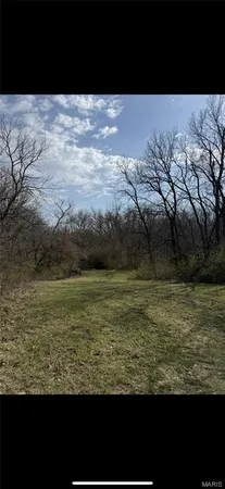 $250,000 | 0 Shortcut Road, Palmyra, IL 62674