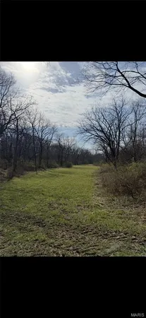 $250,000 | 0 Shortcut Road, Palmyra, IL 62674