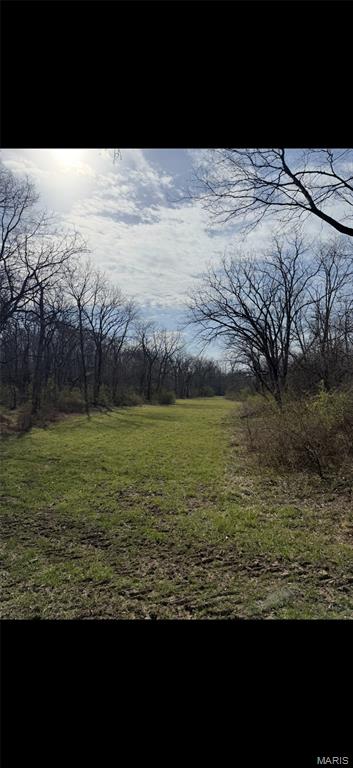 0 Shortcut Road Palmyra, IL 62674 - Photo 3 of 3