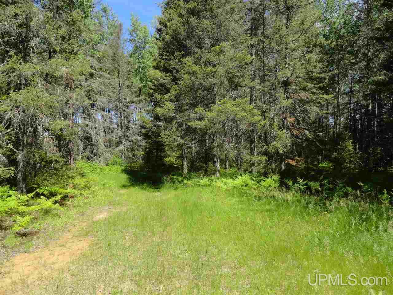 11 Co Road Felch, MI 49831 - Photo 29 of 36